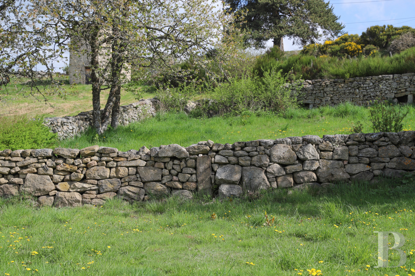 An old farm and dovecote in Lozère, at the entrance to the Aubrac plateau - photo  n°31